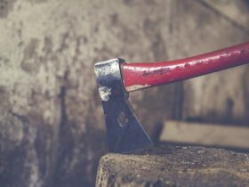 Utilizzo e Manutenzione di Attrezzi da Taglio per il Legno