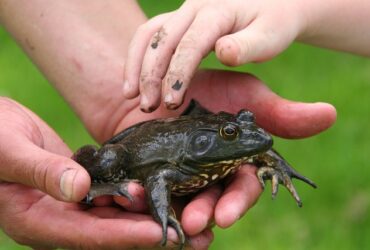 Ruolo dell'educazione ambientale nelle aziende