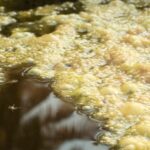 Sversamento Pericoloso