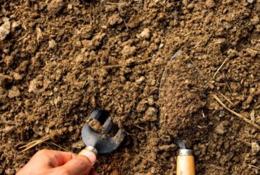Bonifica del Suolo Organico