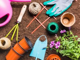 Bricolage per il Giardino