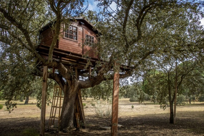 Casa sull'Albero