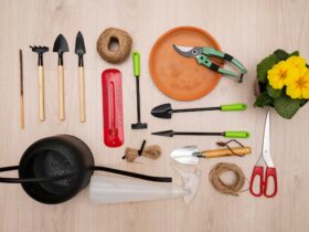 Come Scegliere e Utilizzare Attrezzi da Giardino Innovativi