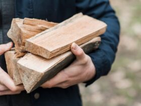 Comprendere i Diversi Tipi di Legno e le Loro Proprietà