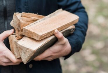 Comprendere i Diversi Tipi di Legno e le Loro Proprietà