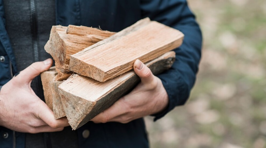 Comprendere i Diversi Tipi di Legno e le Loro Proprietà