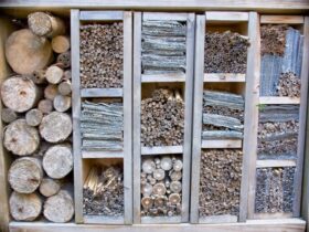 Diversi Tipi di Seghe e Loro Utilizzo