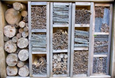 Diversi Tipi di Seghe e Loro Utilizzo