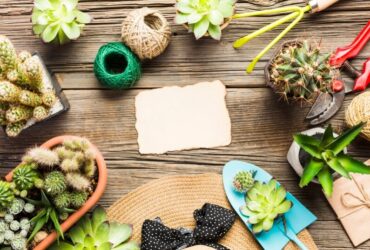 Fai-Da-Te per l'Esterno