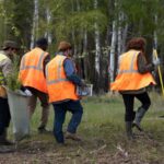 Gestione Emergenze Ambientali