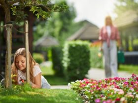 Giardino in un'Area da Sogno