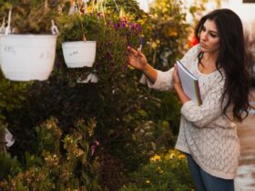 Principi di Giardinaggio Verticale