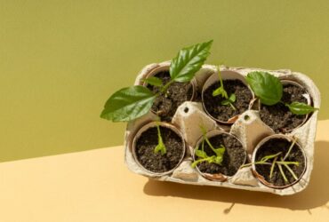 Innovazioni nel Compostaggio