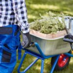 Preparazione del Giardino per l'Arrivo di un Robot