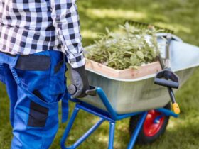 Preparazione del Giardino per l'Arrivo di un Robot