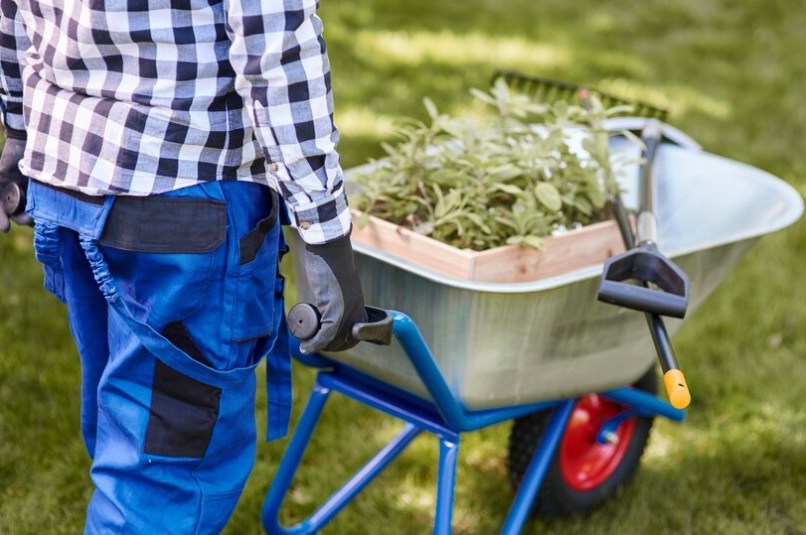 Preparazione del Giardino per l'Arrivo di un Robot