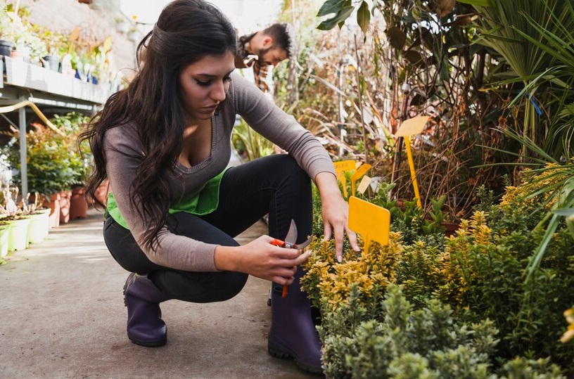 Progetti Fai-Da-Te per Trasformare il Tuo Giardino