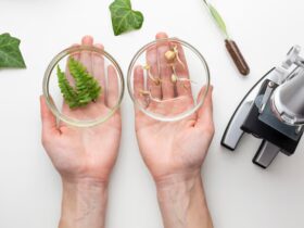 Ricerca e Sviluppo in Materiali Eco-compatibili