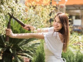 Trasforma il Tuo Giardino in un Paradiso