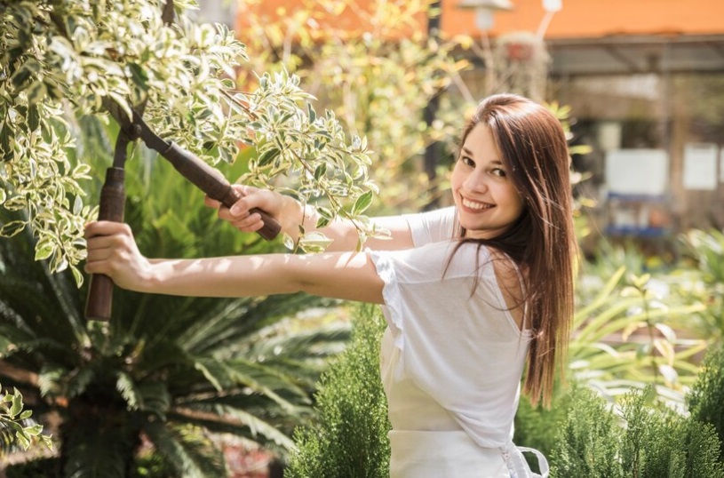 Trasforma il Tuo Giardino in un Paradiso