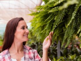 Costruire un Giardino Verticale Perfetto