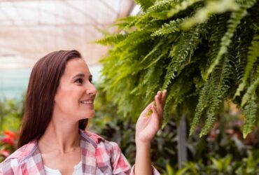 Costruire un Giardino Verticale Perfetto