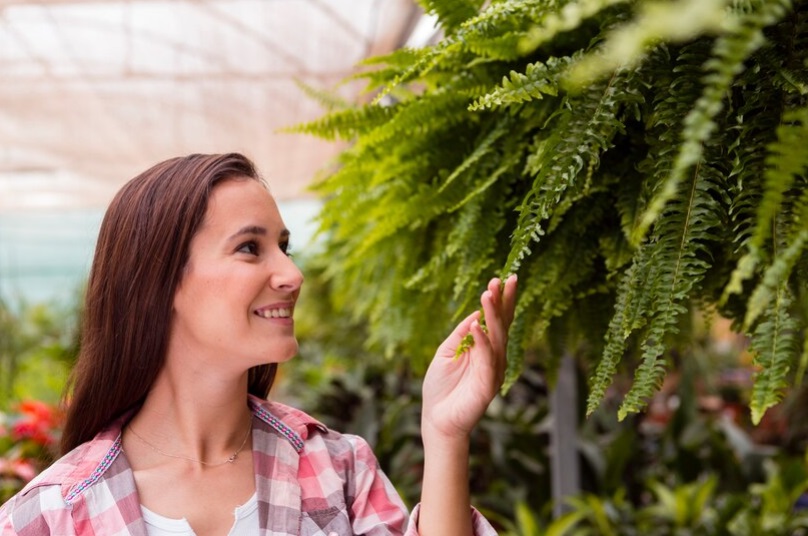 Costruire un Giardino Verticale Perfetto