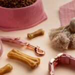 Personalizzare Accessori per Animali