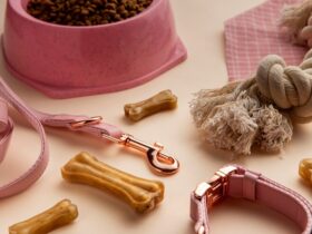 Personalizzare Accessori per Animali