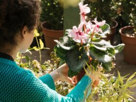 Trasforma il Tuo Giardino in un Paradiso Fiorito con Questi Suggerimenti