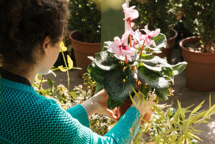 Trasforma il Tuo Giardino in un Paradiso Fiorito con Questi Suggerimenti