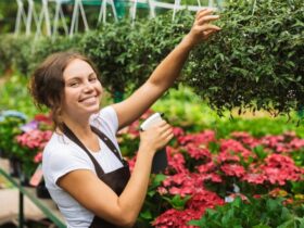 il Tuo Giardino