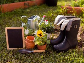 Rendi Speciale il Tuo Giardino: Tecniche e Idee per un Tocco Personale