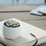 Arte botanica in stampe