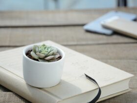 Arte botanica in stampe