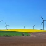 Sviluppo sostenibile nell'arte stampata