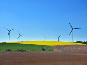 Sviluppo sostenibile nell'arte stampata