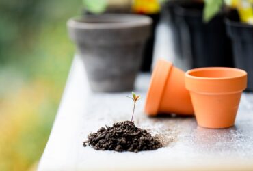 Impatto dei robot giardino sulla promozione di tecniche di giardinaggio ecocompatibili