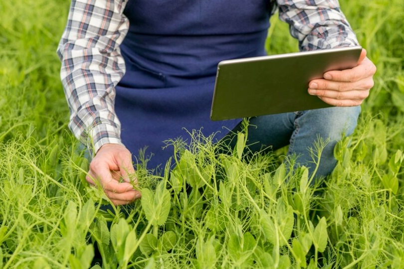 Contenuto Visivo per la Promozione di Robot Giardino su Instagram