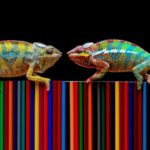 Arte Digitale vs Stampa Tradizionale