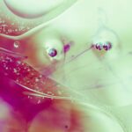 Arte e Neuroscienza: Percezioni Visive