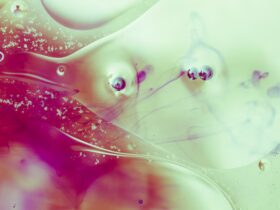 Arte e Neuroscienza: Percezioni Visive