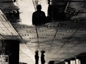 Arte nelle zone di conflitto: messaggi e mediazioni