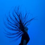 Fotografia Subacquea Come Mezzo Artistico