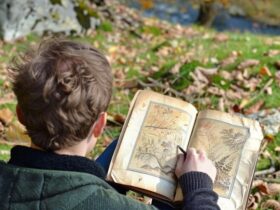 Imparare la storia dell'arte tramite stampe