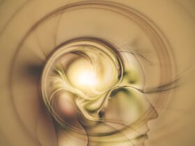 La Filosofia dell'Estetica