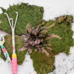 Land Art e Interventi Paesaggistici