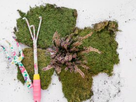 Land Art e Interventi Paesaggistici