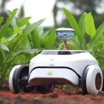 Robot giardino e privacy