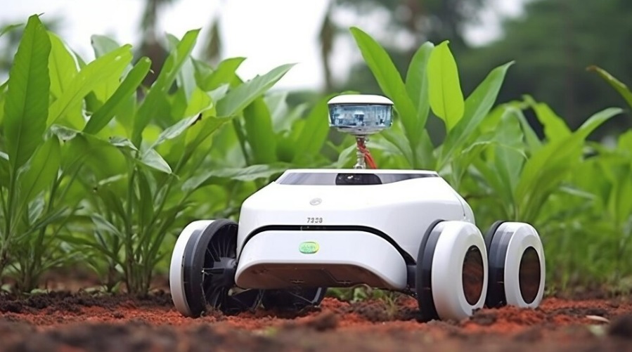 Robot giardino e privacy